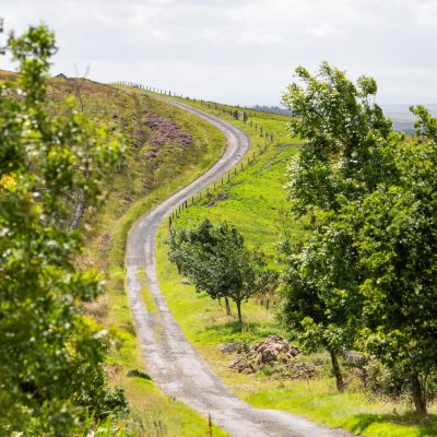 Photo Neil Denham www.neildenham.co.uk