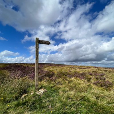 Photo Neil Denham www.neildenham.co.uk