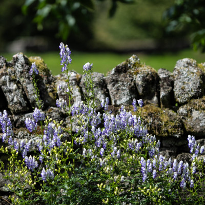 Photo Neil Denham www.neildenham.co.uk